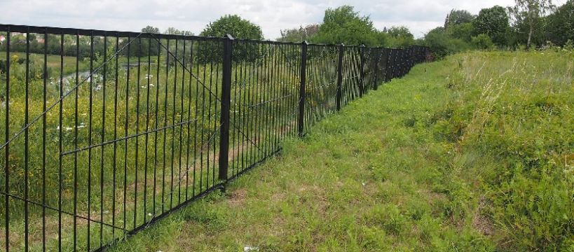 Dalsze prace na cmentarzu żydowskim