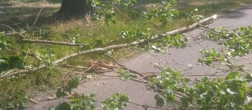 Uwaga kierowcy! Silny wiatr łamie drzewa i gałęzie