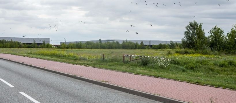 Lekka produkcja na polach czerwonkowskich?