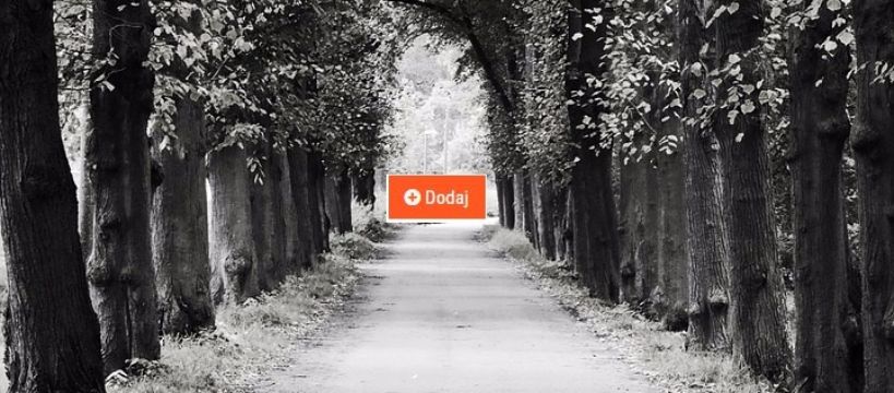 Prosta droga: od guzika do bloga
