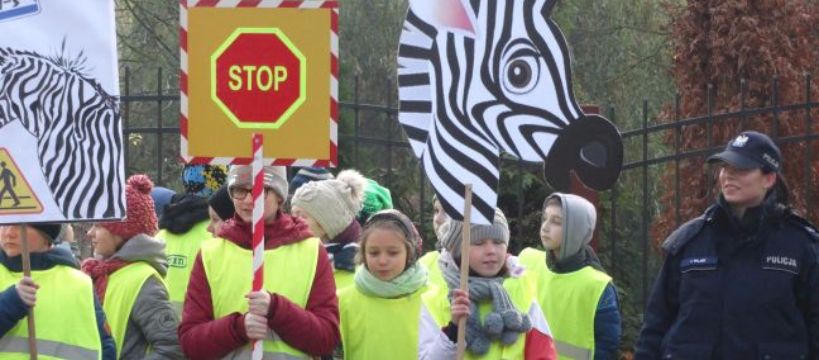  Uczniowie SP nr 2 przypominają: Kierowco! Nie polujemy na zebrach