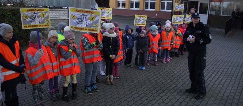 Kierowco! Nie poluj na zebrach