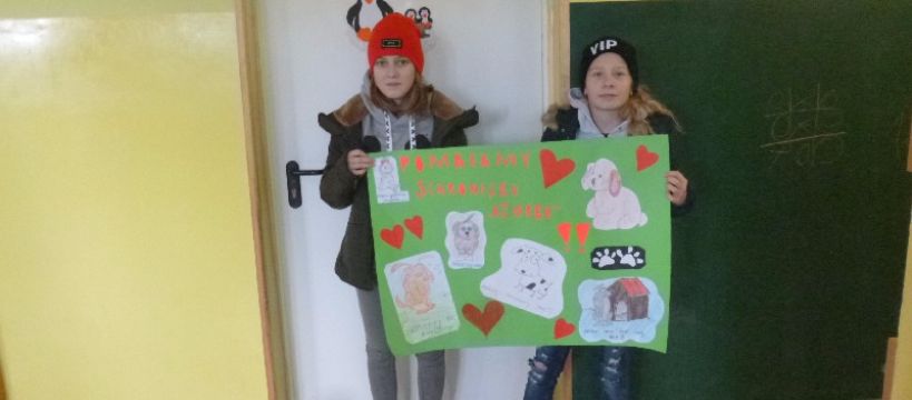Nasza szkoła przyjacielem zwierząt - pomagamy schronisku AZOREK