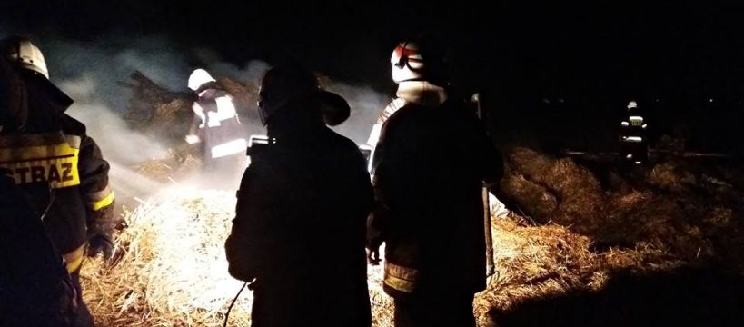 Podpalacz z gminy Iłów zatrzymany: zarzut zabicia zwierząt ze szczególnym okrucieństwem