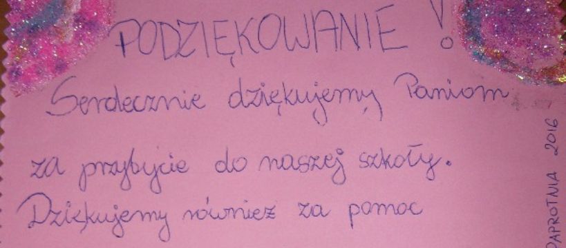 Podsumowanie warsztatów prowadzonych przez Zespół Interwencji Kryzysowej i Wsparcia