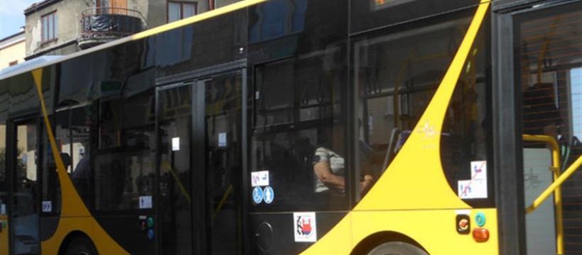 Autobusem miejskim do Kampinosu