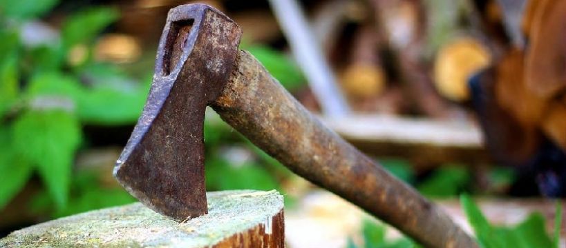 Wycinka drzew bez zezwolenia: zaryzykować pustynię czy wprowadzić lokalne ograniczenia?