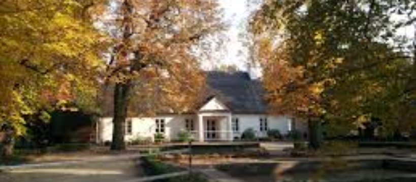 Chopin w sztukach pięknych