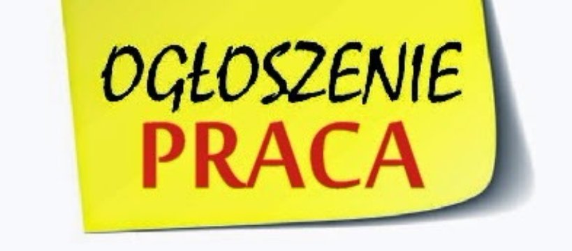 OFERTA PRACY