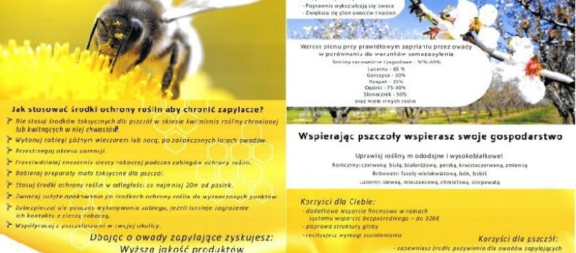 RATUJ PSZCZOŁY – ROZWIEŚ PLAKAT!