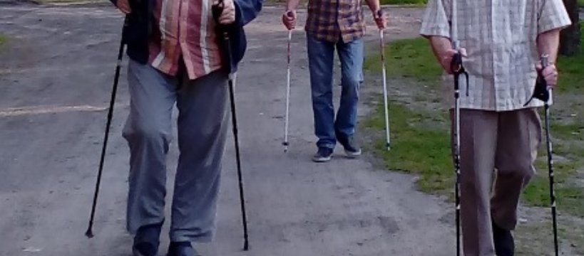 Przechadzka po zdrowie do lasu