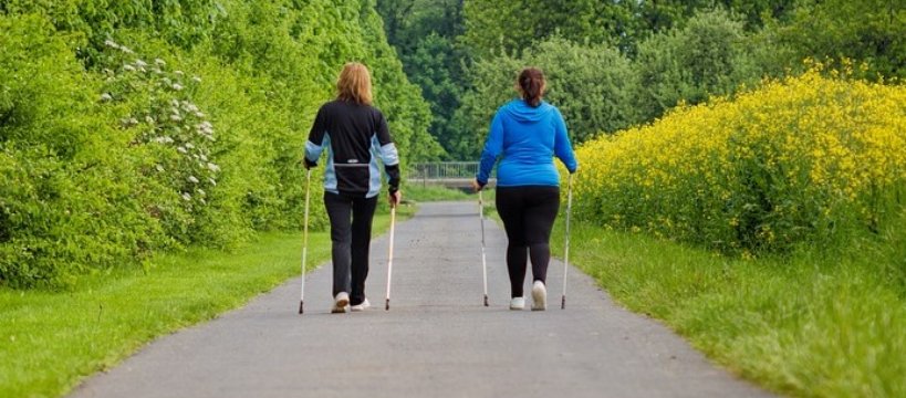 I Sochaczewski Marsz Nordic Walking: z pl. Kościuszki do Żelazowej Woli