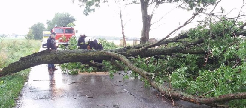 Nawałnice nad Sochaczewem: skutki, zdjęcia