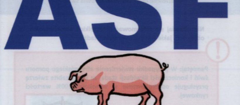 Szczepienia zwierząt!