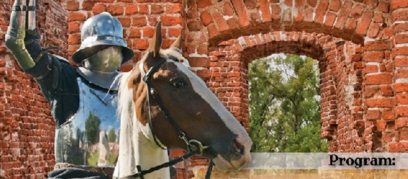 Zawisza Czarny przybywa nad Bzurę – szczegółowy program pikniku