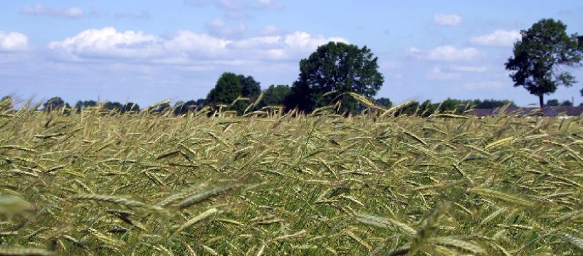 Pierwsze Dożynki Gminy Teresin 2017