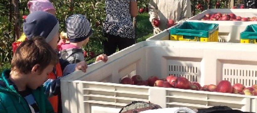 Wycieczka klasy II do Gospodarstwa Sadowniczego 