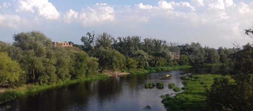 SBO 2018: rusza głosowanie