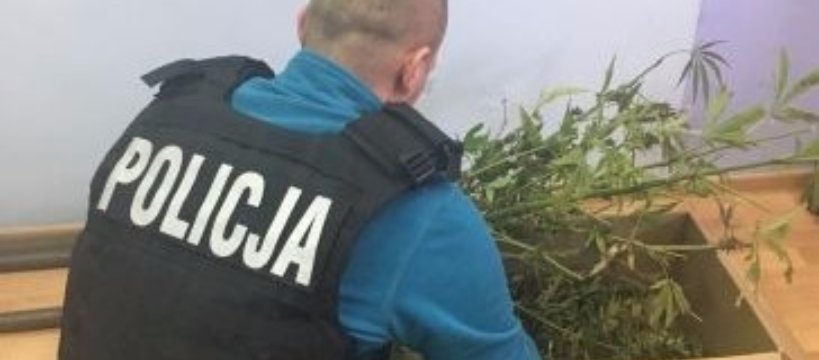 Narkotyki w rękach policji: dwaj mężczyźni zatrzymani