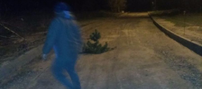 Remont Granicznej: o choinko, ratujmy tyłki