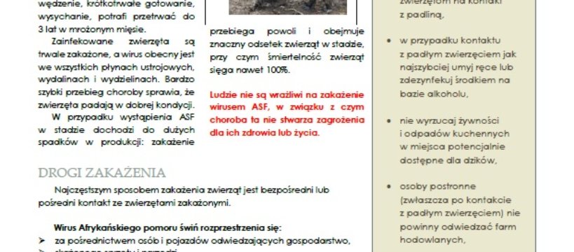 Afrykański Pomór Świń - informacja i ostrzeżenie