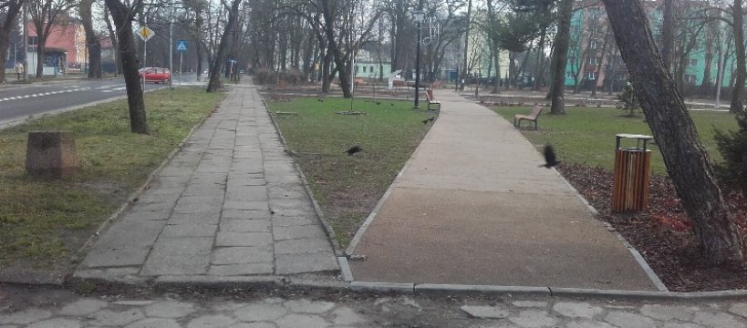 Park jest piękny. Tylko ten chodnik....
