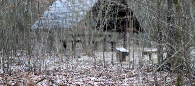 W Kampinoskim Parku Narodowym odnaleziono zwłoki mężczyzny