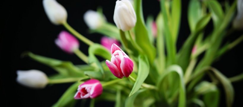 Od goździków wolimy bukiety czarnych parasolek!