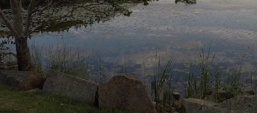 Kobieta utonęła w stawie w Gawłowie