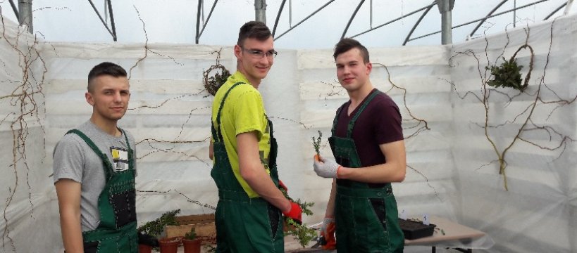 Kolejny sukces uczniów Technikum Ogrodniczego