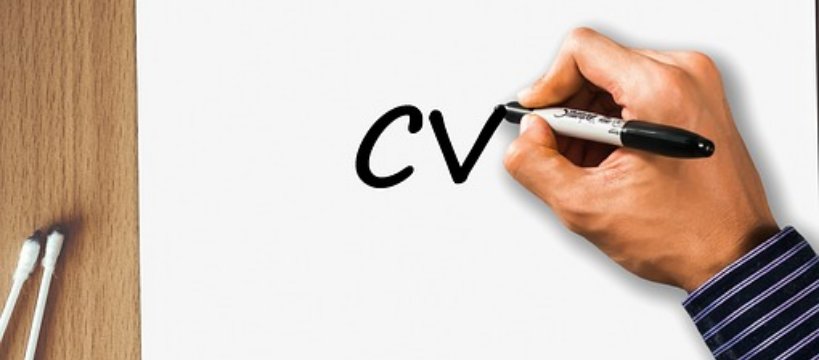 Szukasz pracy? Te wzory CV zainteresują pracodawcę