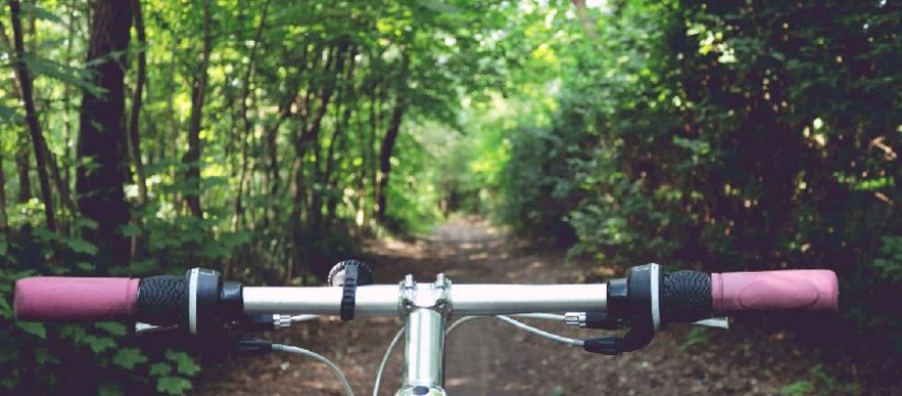 Rowerzystka zgubiła się w puszczy.