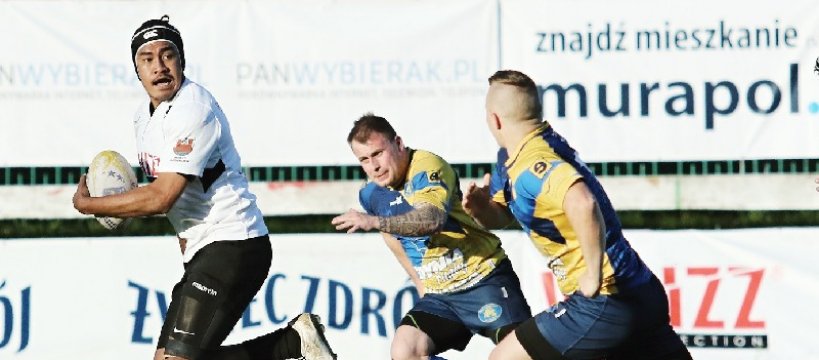 Potulne Buldogi