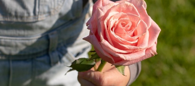 Matka Polka Laurkowa - o Dniu Matki, który powinien być codziennie 