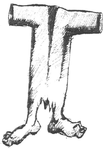 Z mórg bezdomnym