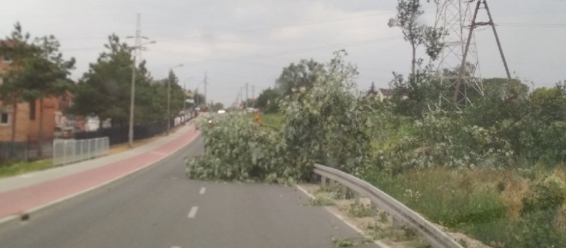 Wichura oraz nadciągająca burza - mamy pierwsze zdjęcia 