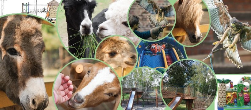 Najlepsze kolonie dla dzieci - Frajdalandia zaprasza! 