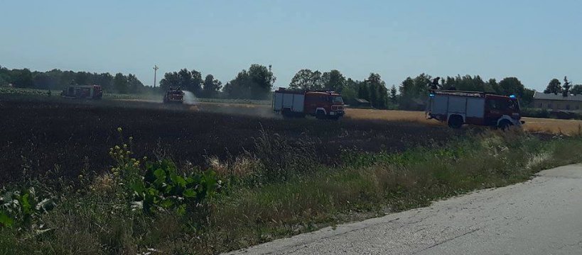 Pożar pola w miejscowości Elżbietów