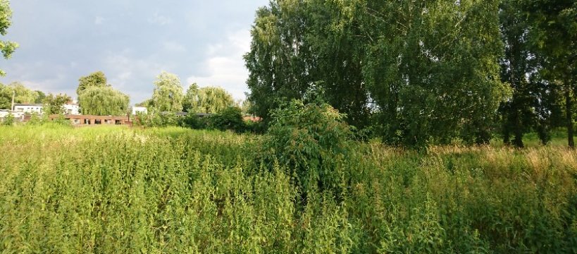 Mieszkanie Plus Sochaczew – czy jest szansa 