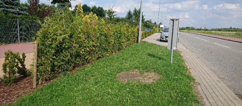 Przyszłość zielonej kurtyny ...