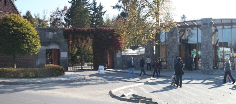Rozkład jazdy darmowej komunikacji do Żelazowej Woli