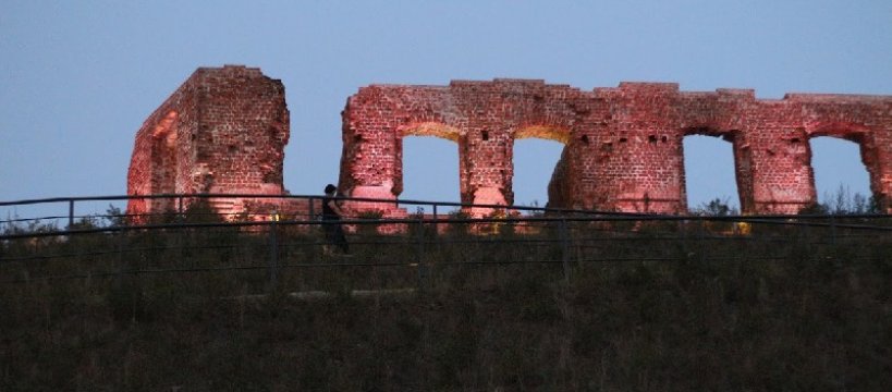 Piknik rodzinny Zawisza Czarny Nad Bzurą – program 