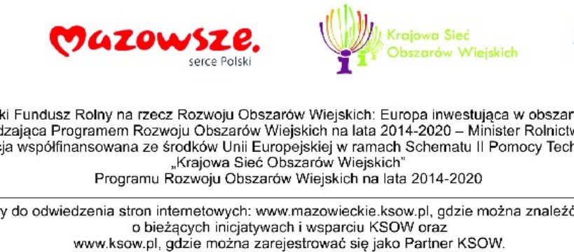 Pszczoły w centrum uwagi