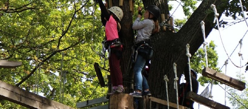 Park linowy w Sochaczewie - lokalizacja Chodaków 