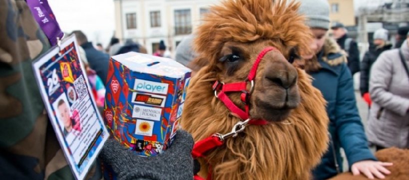 WOŚP z ZHP Sochaczew  - co będzie się działo