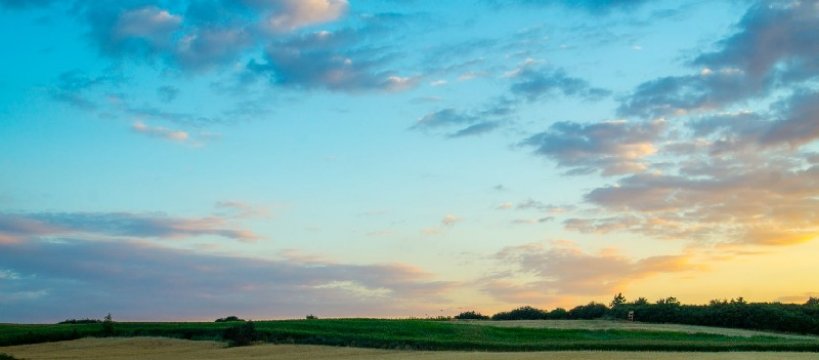 REGULAMIN VIII OGÓLNOPOLSKIEGO KONKURSU PLASTYCZNEGO IM.WŁADYSŁAWA ŚLEWIŃSKIEGO