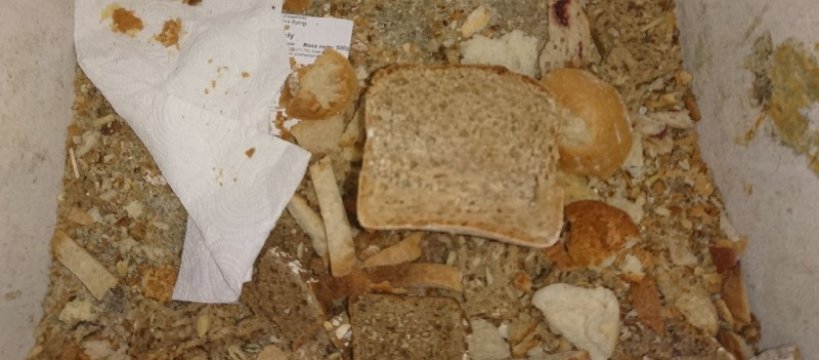 Chleba wyrzucamy najwięcej – kontenery pełne jedzenia 