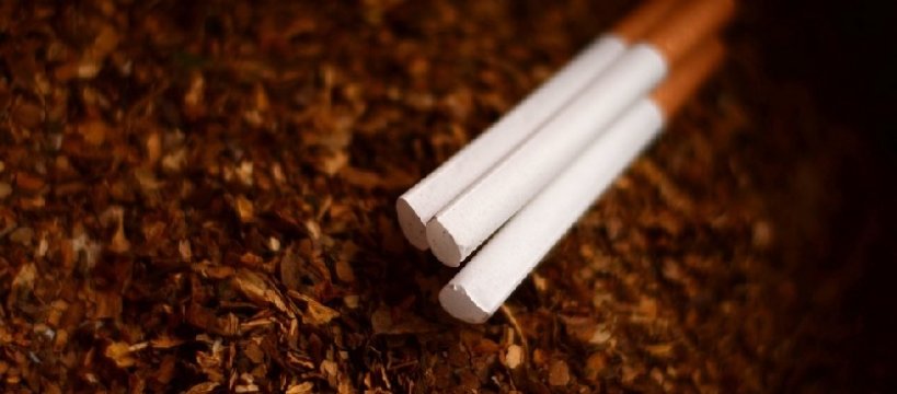 Nielegalna krajanka tytoniowa w posiadaniu sochaczewianki 
