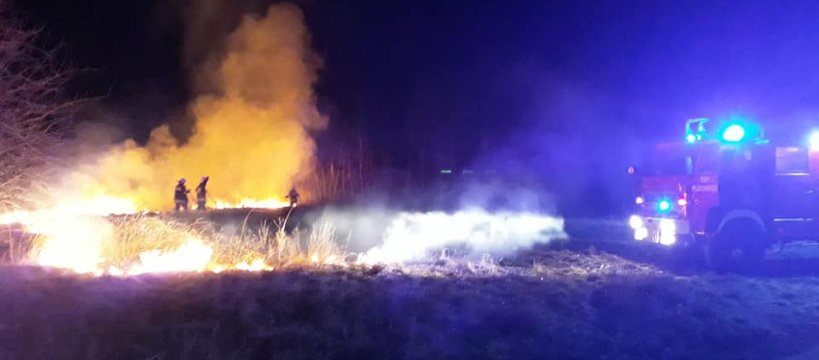 Podejrzane pożary przy ul. Korczaka 