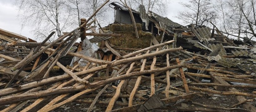 Wichura zniszczyła dorobek życia - tragedia w Bronisławach